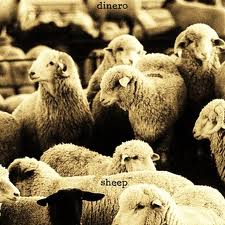 sheep