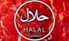halal logo