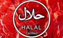 halal logo