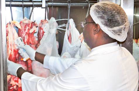 Aftab Kazmi/Gulf News Abu Dhabi Food Control Authority officials issued warnings to four vendors and made three observations of critical.