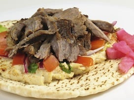 95315158Gyros