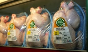 chicken