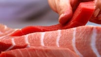Japan UN Saving Species