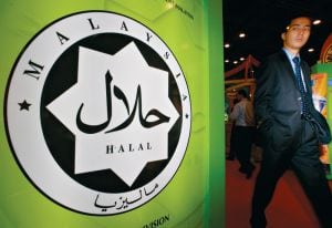 hala-300x206