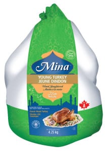 turkey_big1-208x300