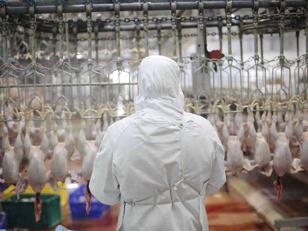 chicken-halal