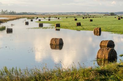 How North American Halal Food Supply Chains Are Adapting to Climate Change
