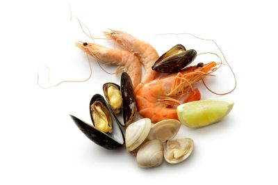 shell fish